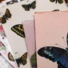 Vintage Butterfly Sticker Book with floral, botanical, paper, and transparent PET stickers for journaling, scrapbooking, and DIY crafts. Vintage Butterfly Sticker Book with floral, botanical, paper, and transparent PET stickers for journaling, scrapbooking, and DIY crafts.