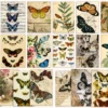 Vintage Butterfly Sticker Book with floral, botanical, paper, and transparent PET stickers for journaling, scrapbooking, and DIY crafts. Vintage Butterfly Sticker Book with floral, botanical, paper, and transparent PET stickers for journaling, scrapbooking, and DIY crafts.
