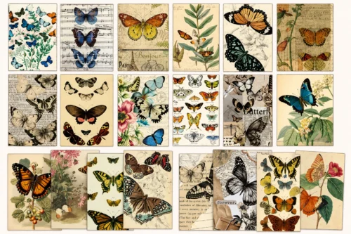 Vintage Butterfly Sticker Book with floral, botanical, paper, and transparent PET stickers for journaling, scrapbooking, and DIY crafts. Vintage Butterfly Sticker Book with floral, botanical, paper, and transparent PET stickers for journaling, scrapbooking, and DIY crafts.